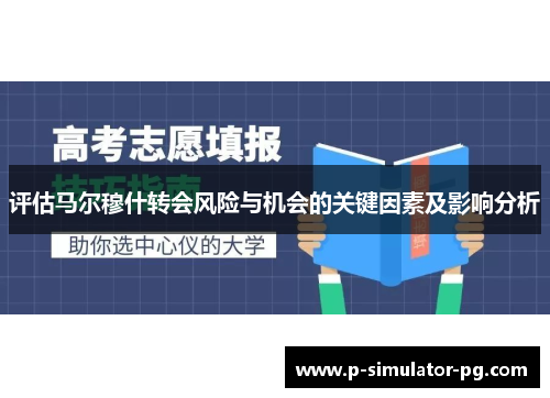 评估马尔穆什转会风险与机会的关键因素及影响分析